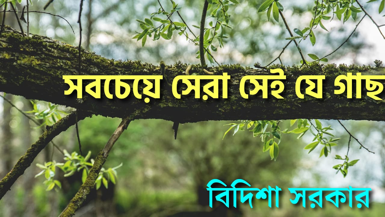 Poem by Bidisa Sarkar